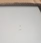 Preview: B-Ware Schaltschrank 600x1200x300 mm (HBT) IP55  Stahlblech 2-türig mit verz. Montageplatte