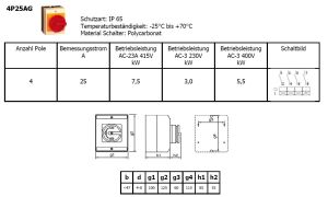 25A Hauptschalter 4-polig mit IP65 Gehäuse