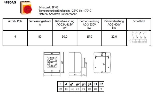 Hauptschalter 80A 4-polig mit IP65 Gehäuse